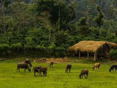 Pushpagiri Wildlife Sanctuary